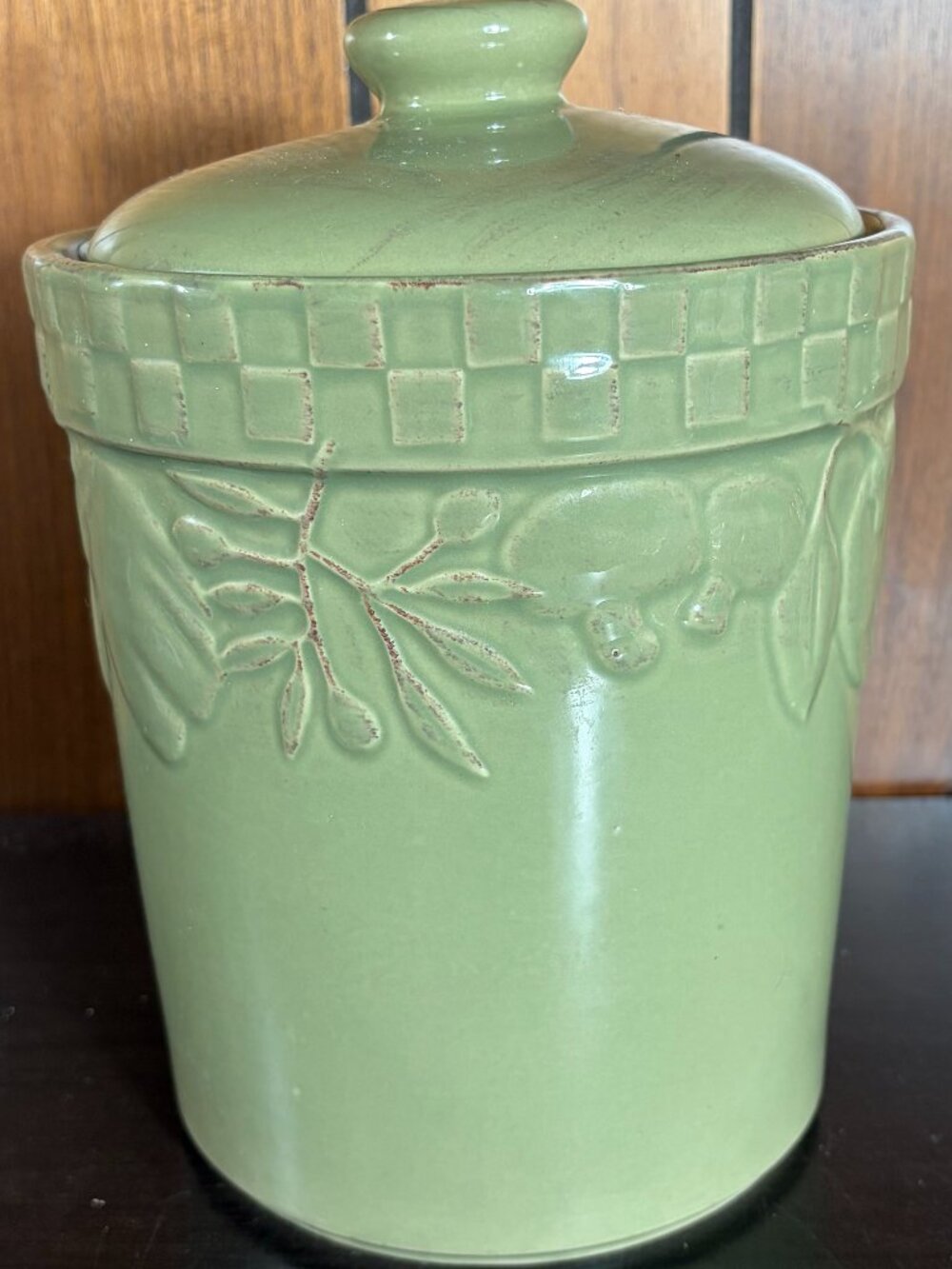 Home Grown Riviera Van Beers Signature Housewares Canister Green Stoneware- VGC